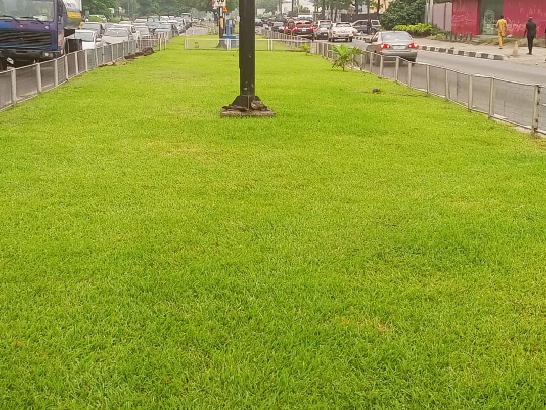 Landscape design