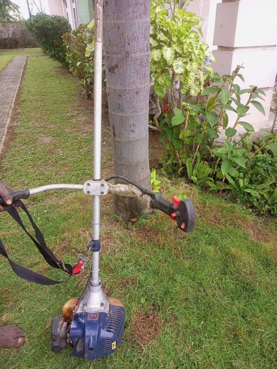 Mowing