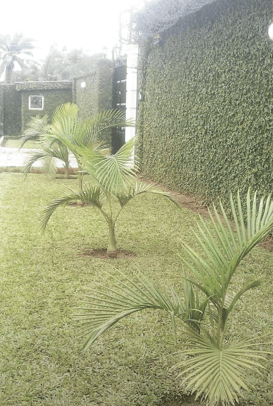 Garden Care